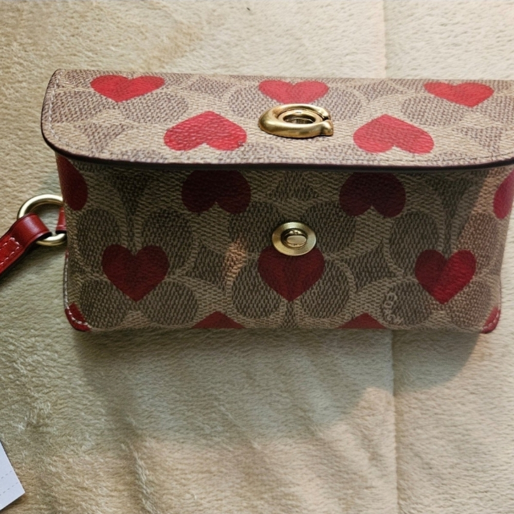 Coach Case - Picture 3 of 5